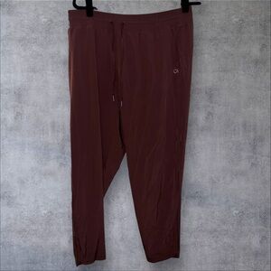 GAP‎ Men's Maroon Jogger Pants
